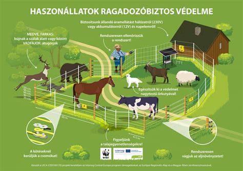 Infografika a hajszín és jellemzők összefüggéséről: fehér-intellektus és isteni erő, fekete-misztika, szőke-külföldiség, barna-főszereplői szerep, vörös-tüzelem, zöld őszinteség, kék hagyományőrzés és kontroll, lila nemesség