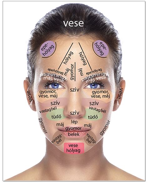Az emberi arc részletei: szemöldökív, homlok és szemöldök kontúr