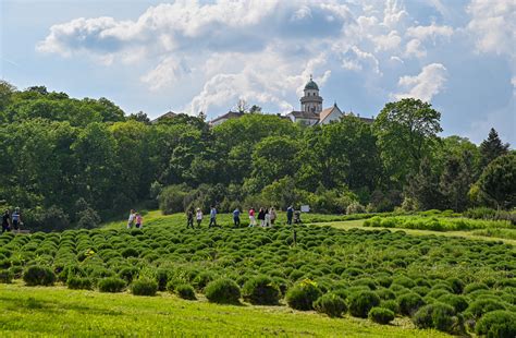 A Pannonhalmi Főapátság és a Völgység tájképe