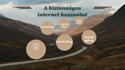kimosható hajfesték biztonságos használat infografika
