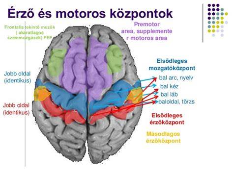 összetevők elhelyezkedése és funkciók vizuális ábrája