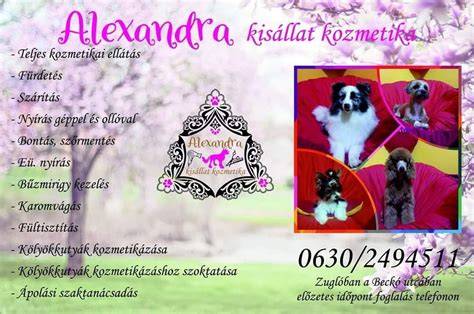 Infografika: 23. kerület kisállat‑kozmetika hálózata