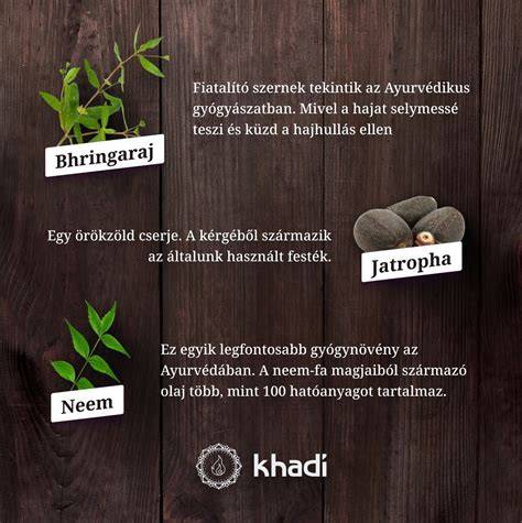 Infografika: Khadi ökológiai és ayurvédikus összetevők áttekintése