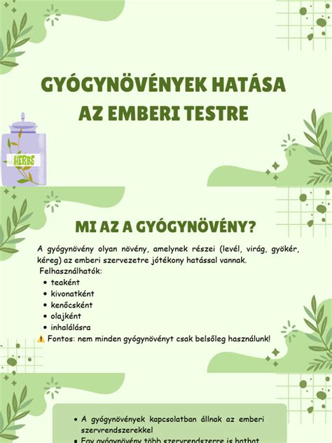 Gyógynövények hatása - infografika