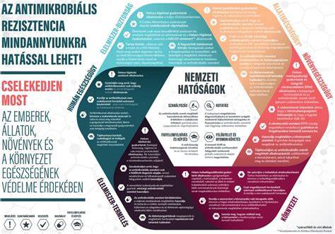 Infografika a borotvafejek típusairól és használatáról