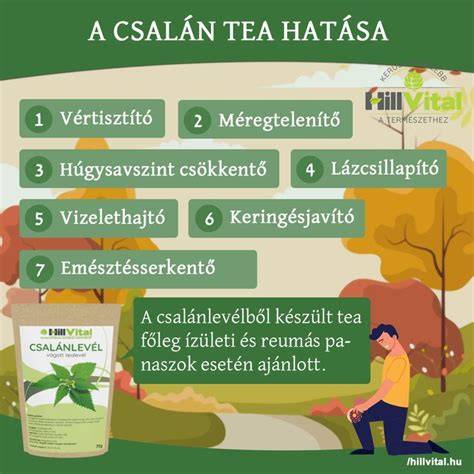 Infografika: A csalán ápoló hatásai a hajra