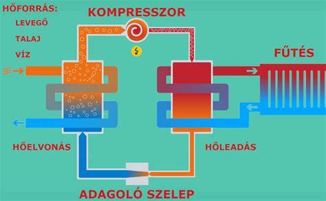 Diagram: hajszálak átmérője és típusai