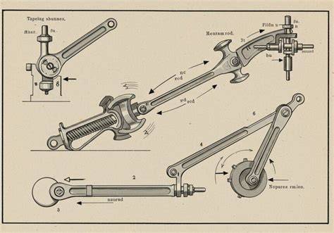 Infografika: Hatóanyagok és működési mechanizmus a fejbőrben