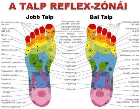 Infografika: Reflexológia alapelvei és pontok a talpon