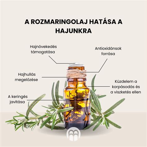 Infografika: Ayurvédikus összetevők hatása a fejbőrre és hajnövekedésre