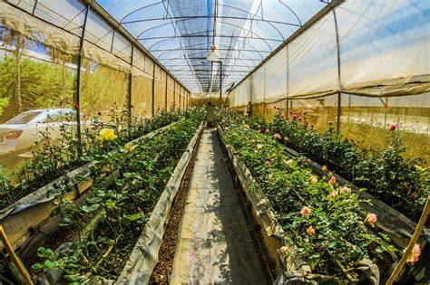 Lisap Garden fenntartható gazdálkodás