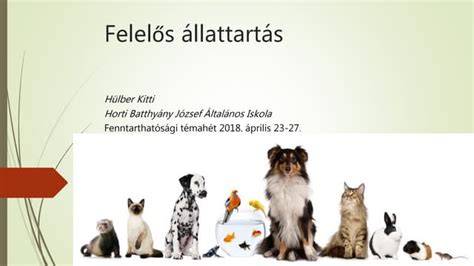 Infografika: felelős állattartás alapelvei
