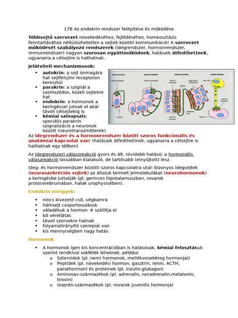 Infographics: BlondMe rendszer felépítése és Dual Bond védelem