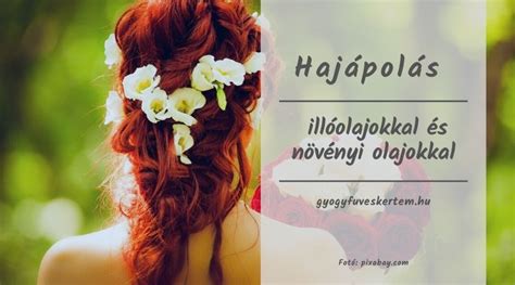 Hajápolás növényi olajokkal és keratinnal