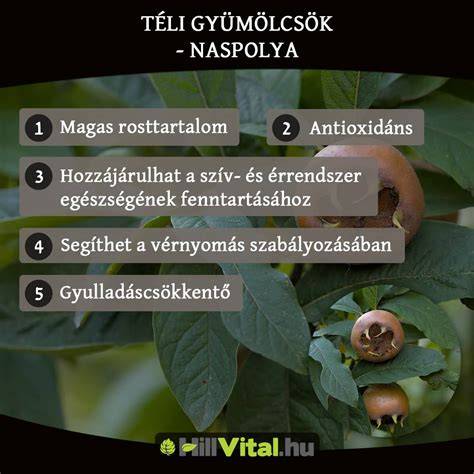 Oxigénnel teli fejbőr javítás infografika