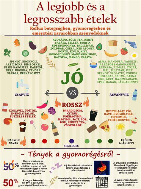 Infografika: LASHUS szempillás párna felhasználási módja és anyagkialakítás