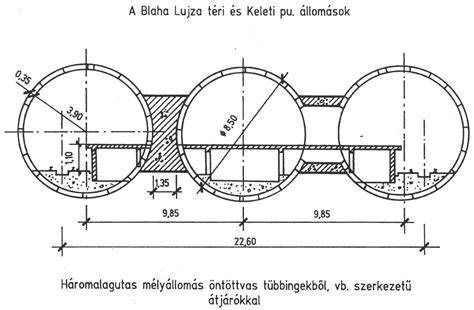 velőállomány keresztmetszet