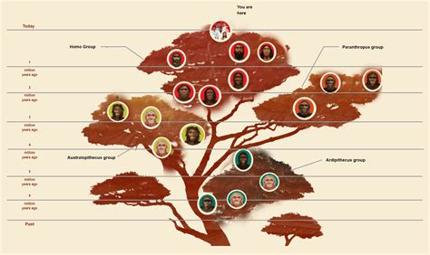 https://example.com/beard-ancestors-infographic.jpg