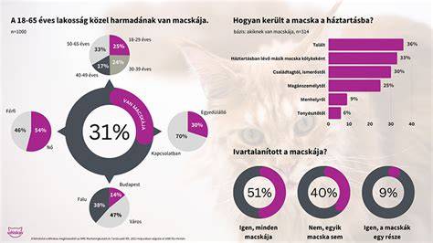 Ápolt, fényes macska bunda infografika