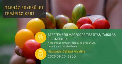 Infografika a dáliagumók teleltetéséről: felvétel a kiásás, tisztítás és tárolás lépéseiről