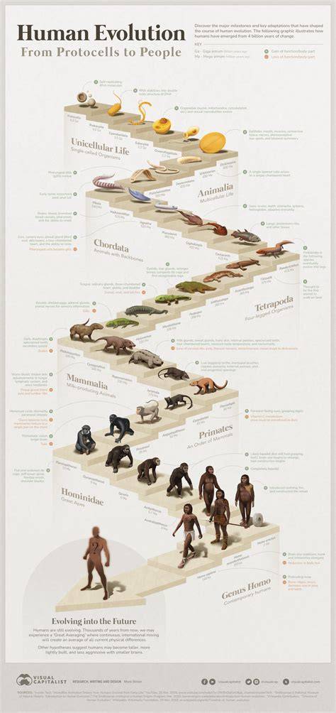 Infographic: Evolution of the Color keverési arányok és hatóidő