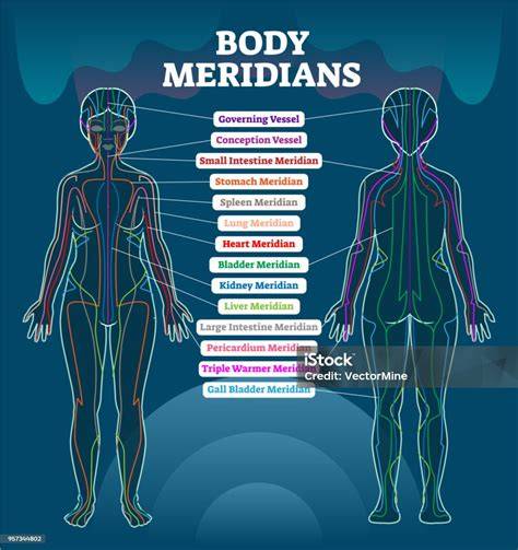 illusztrációs hajtípus diagram