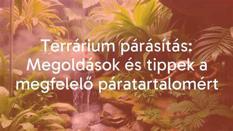 Tippek a lazább tartáshoz és a kelesztés megfelelő idejéhez