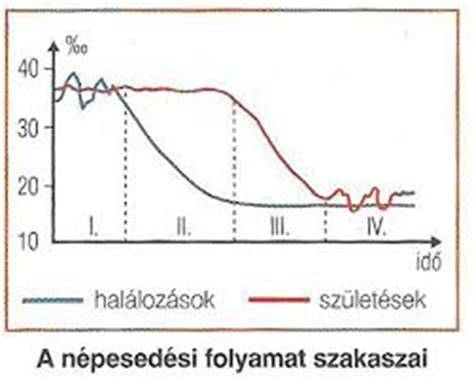Szakállápolási grafikon és szakállolaj folyamat