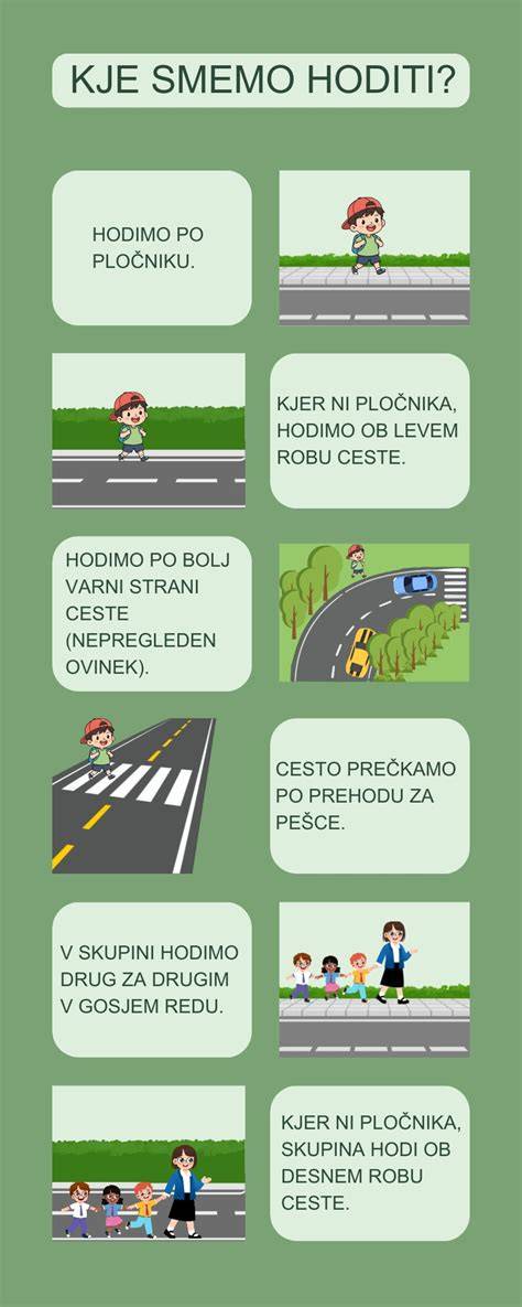 didaktikus infografika a felnyírt hajstílusokról