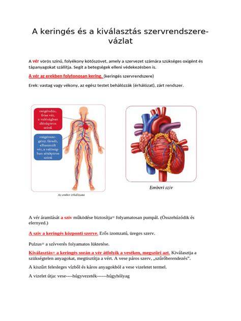 dohányzás és fejbőr keringés infografika