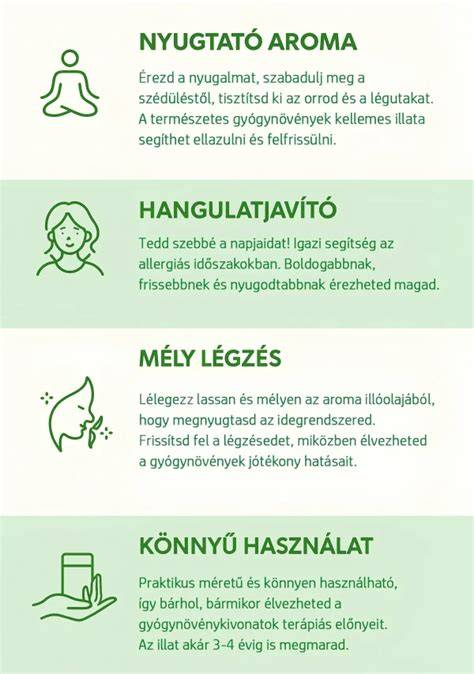 gyógynövényes hajápolás infografika