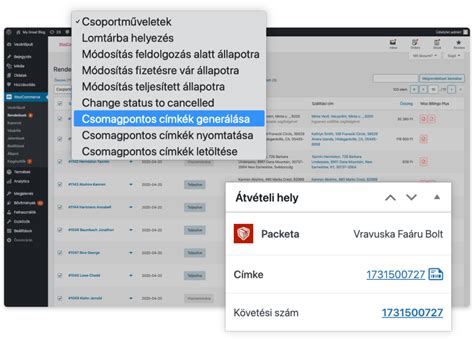 szállítási lehetőségek és csomagpontok ábrája