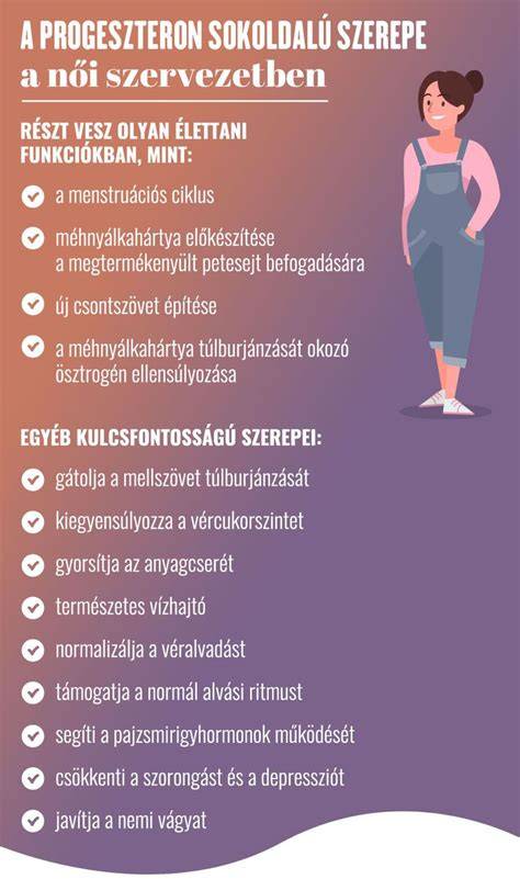 Infografika: Progeszteron működése a női szervezetben