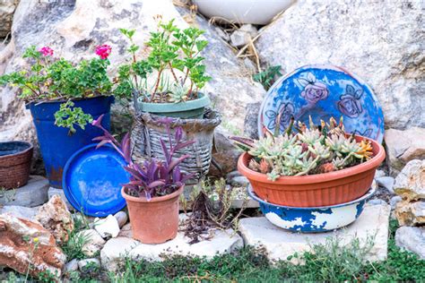 Nő alkalmi frizurával