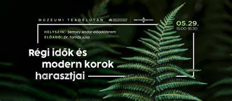 Régi és modern hajápolási módszerek összehasonlítása