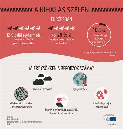 Infografika: IR okai és következményei