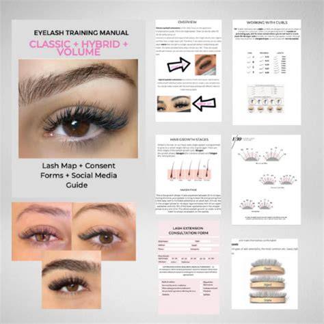 lashing and brow training infographics