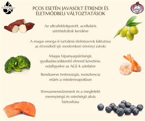 Infografika: az egészséges hajszín megőrzését támogató étrendi és életmódbeli alapelvek