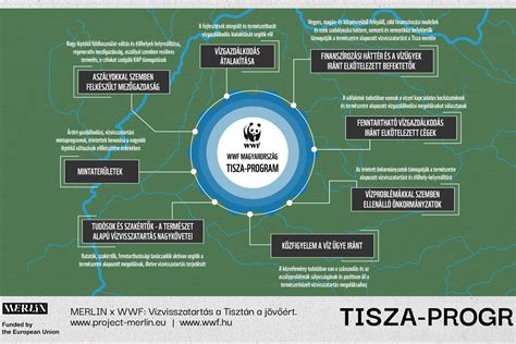 infografika-a-kozmetikaban-kinyujtas