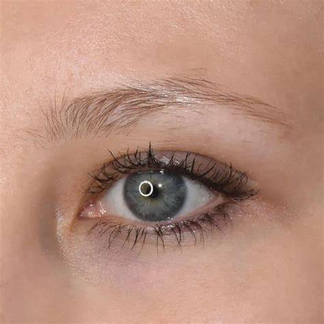 Infografika a szemöldök tetoválás három fő technikájáról: microblading, microshading, kombinált