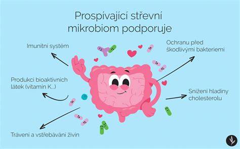 Infografika: Fejbőr-egyensúly és mikrobiom fontossága