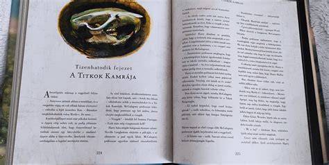 illusztrált ábrázolás a Lumea fejlesztéséről és alkalmazásáról