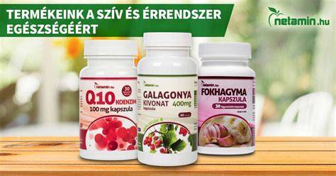 Haj egészsége és B-vitaminok kapcsolat