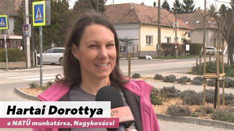 A térképes ábra a Soltvadkert környéki olajmaffia hálózatáról és a kapcsolódó politikusokról