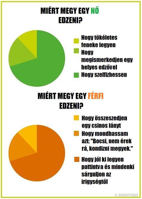 infografika az IPL és HPL közötti különbségekről