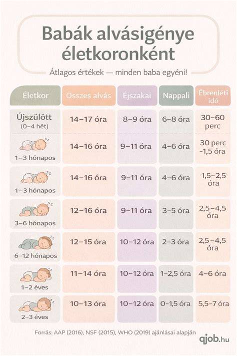Infografika: Összehasonlítási táblázat a Remington otthoni modellekről (teljesítmény, funkciók, kiegészítők, kábelhossz)