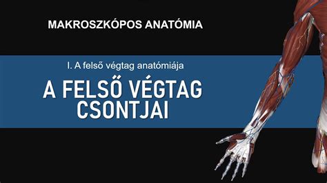 Hónalj viszketés ábra kapcsolódó tünetekkel