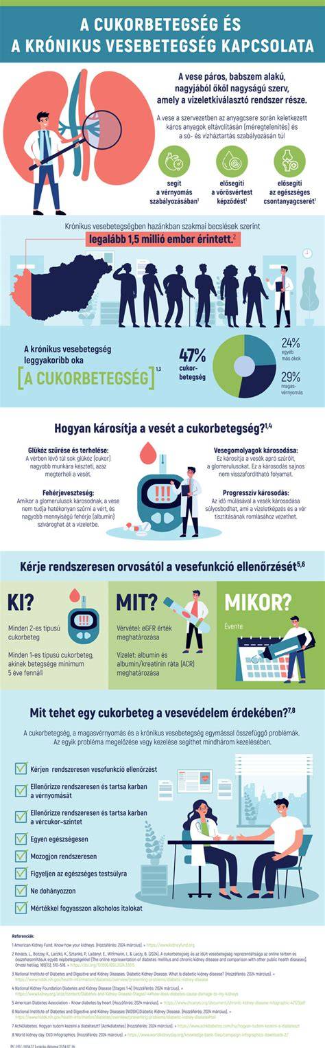Infografika a szolgáltatásokról és termékekről