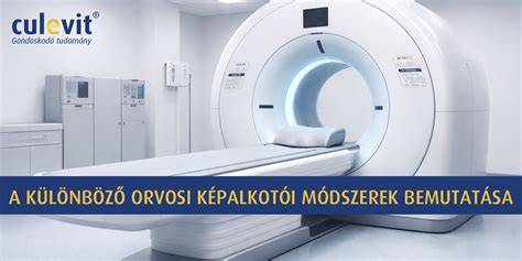 Különböző kefetípusok bemutatása kép