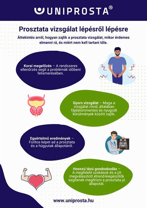 Infografika: Hogyan zajlik a hajlaminálás lépései